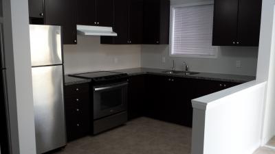 Brampton Apartments For Rent Brand New Walkout Basement