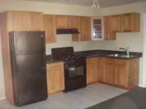 1 bedroom basement for rent in surrey bc