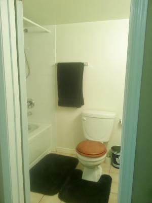 Markham Apartments For Rent SEPARATE ENTRANCE BASEMENT APARTMENT